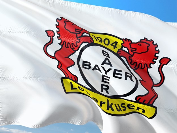 Fahne Bayer 04 Leverkusen - Symbolbild